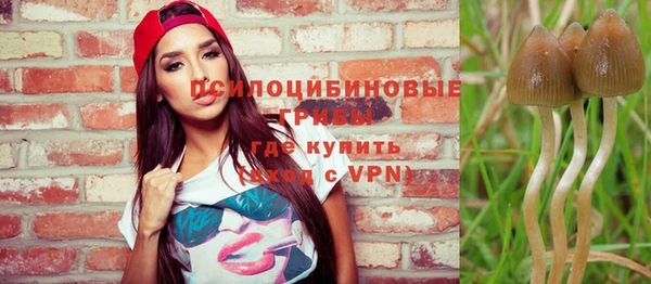 винт Верея